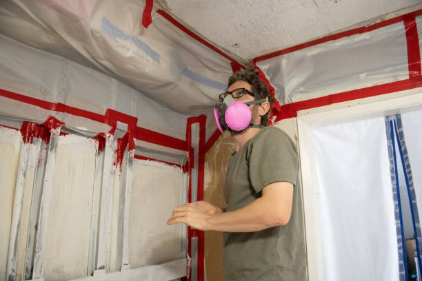 Best Commercial Mold Inspection  in Pocahontas, AR