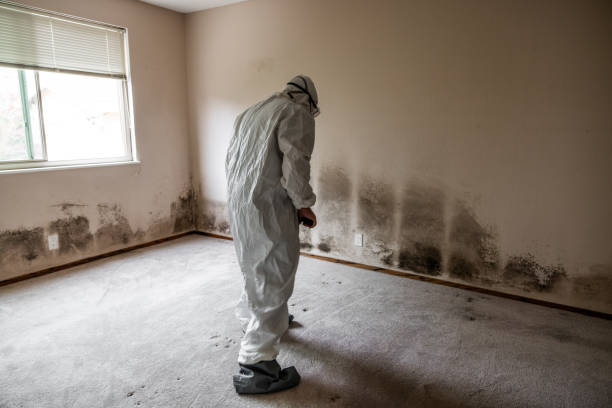 Forensic Mold Investigation in Pocahontas, AR